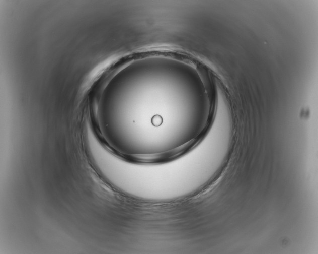 X0000091961406200709131217