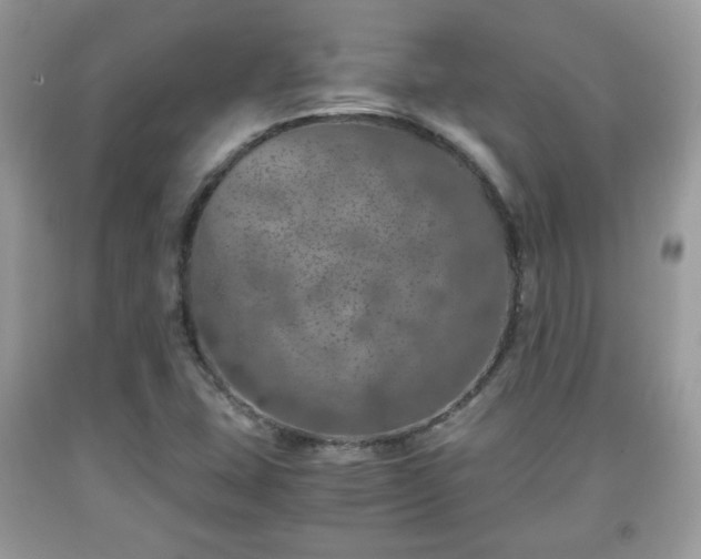 X0000091961407200709131217