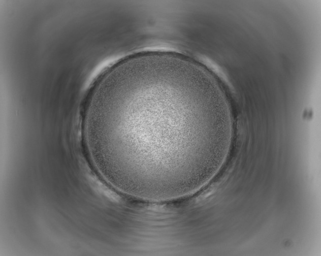 X0000091961408200709131217