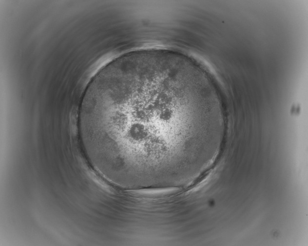 X0000091961409200709131217