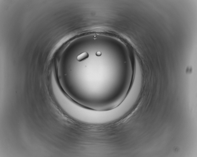 X0000091961410200709131217