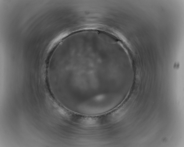 X0000091961411200709131217