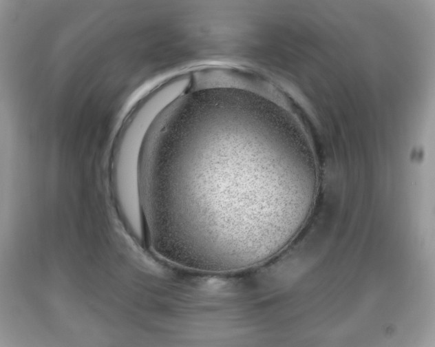 X0000091961412200709131217