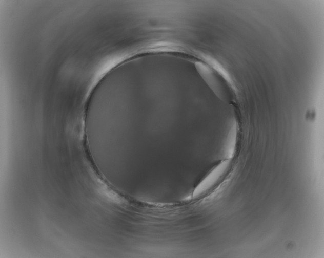 X0000091961413200709131217