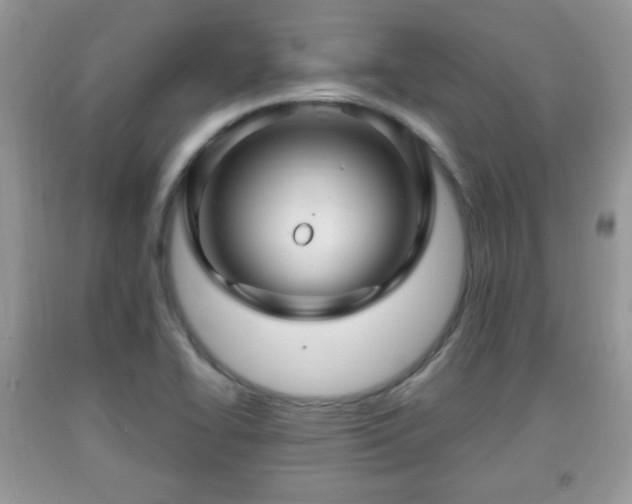 X0000091961414200709131217