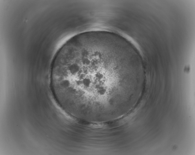 X0000091961415200709131217