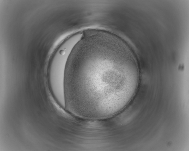 X0000091961416200709131217