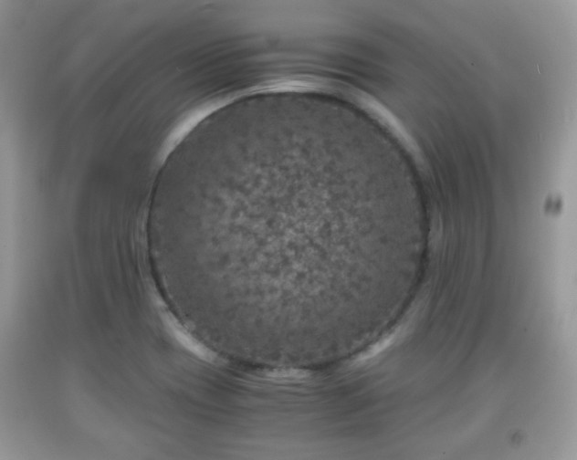 X0000091961417200709131217