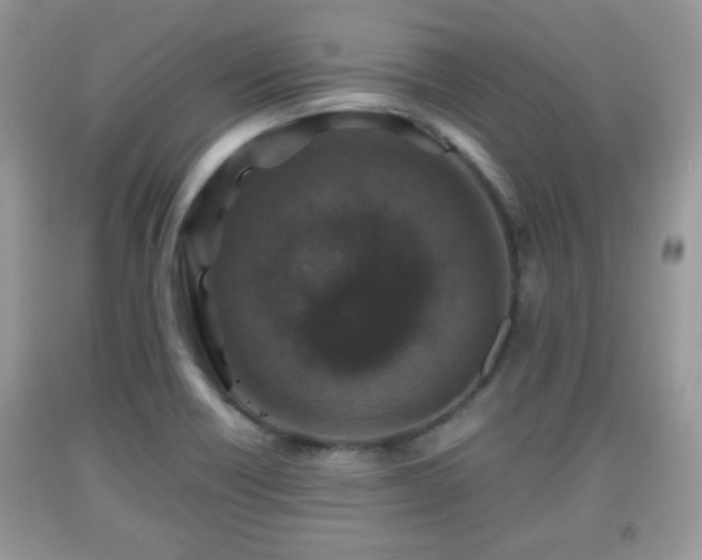 X0000091961418200709131217