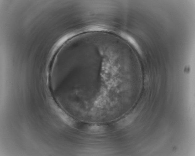 X0000091961419200709131217