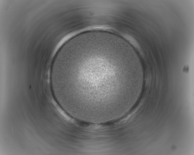 X0000091961420200709131217