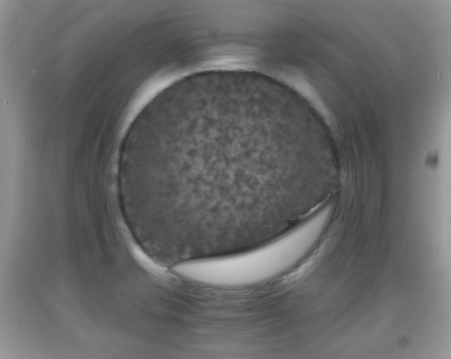 X0000091961421200709131217