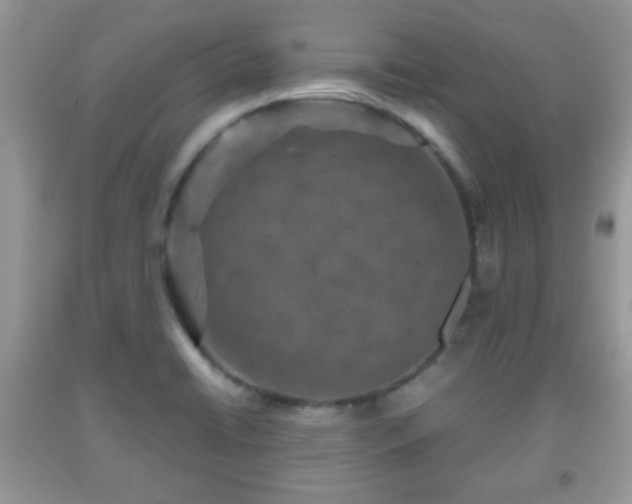 X0000091961422200709131217