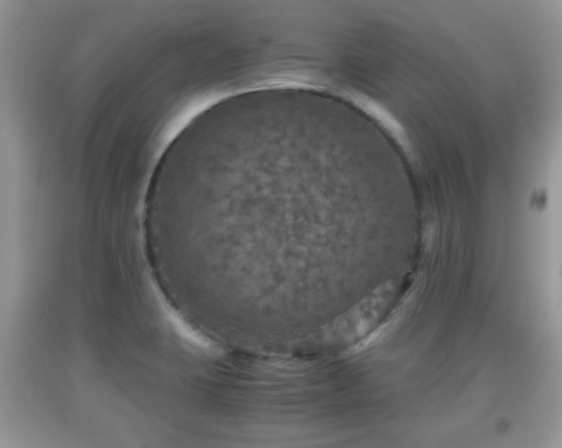 X0000091961423200709131217