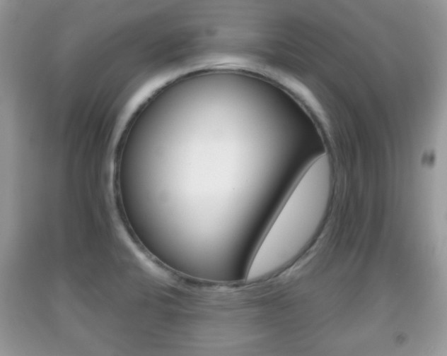 X0000091961424200709131217