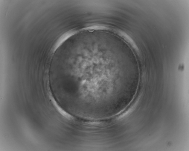 X0000091961425200709131217