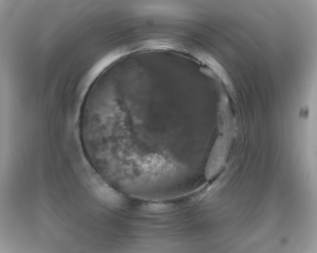 X0000091961427200709131217