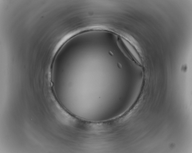 X0000091961428200709131217