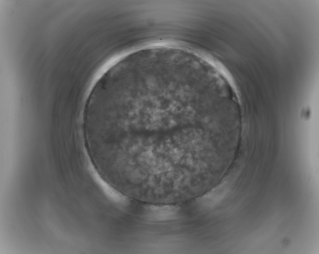 X0000091961429200709131217