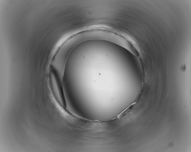 X0000091961430200709131217