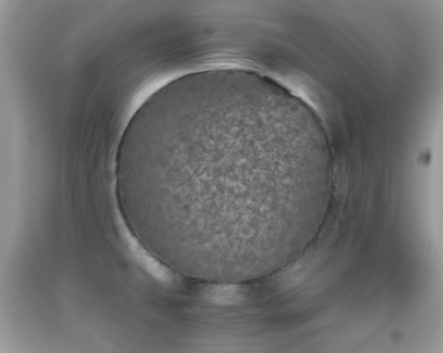 X0000091961431200709131217