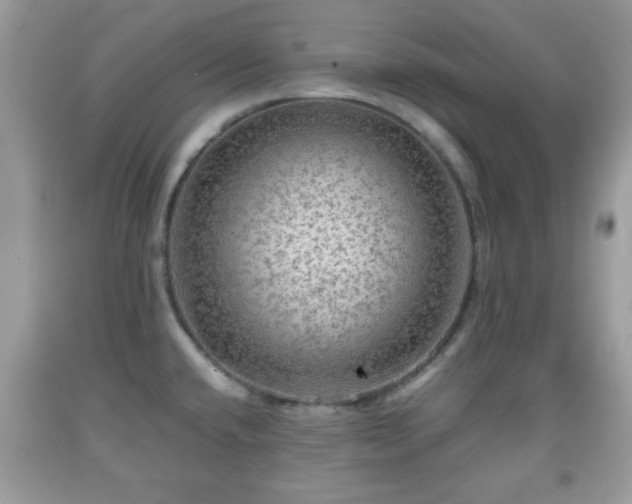 X0000091961432200709131217