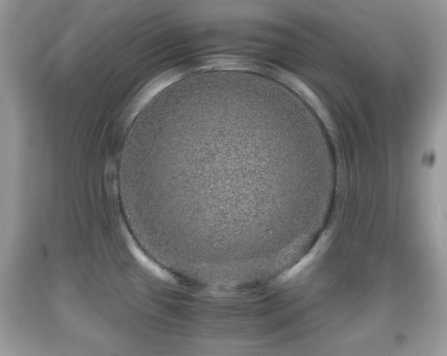 X0000091961433200709131217