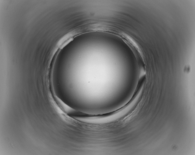 X0000091961434200709131217