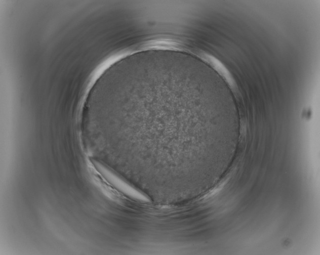 X0000091961435200709131217