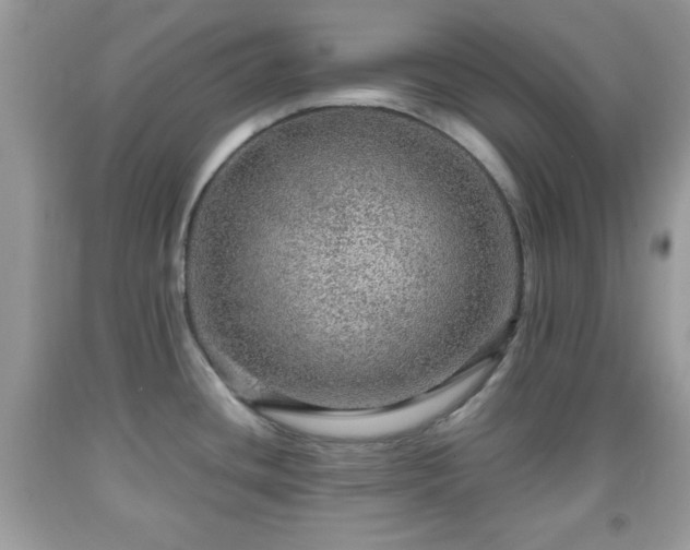 X0000091961436200709131217