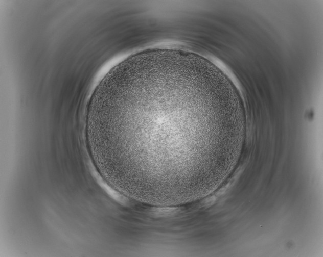 X0000091961437200709131217