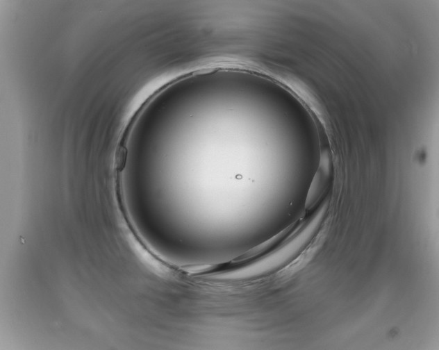 X0000091961438200709131217