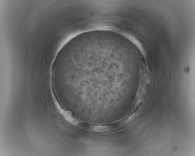 X0000091961439200709131217