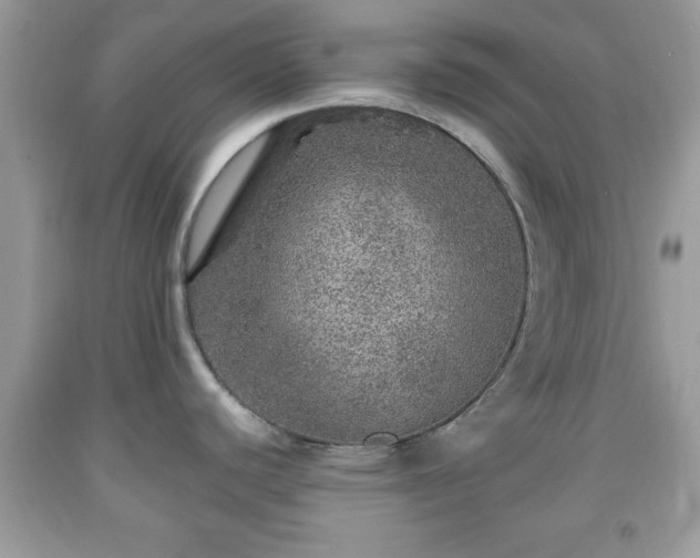 X0000091961440200709131217