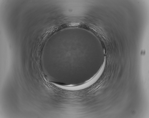 X0000091961441200709131216