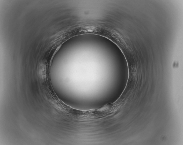 X0000091961442200709131216