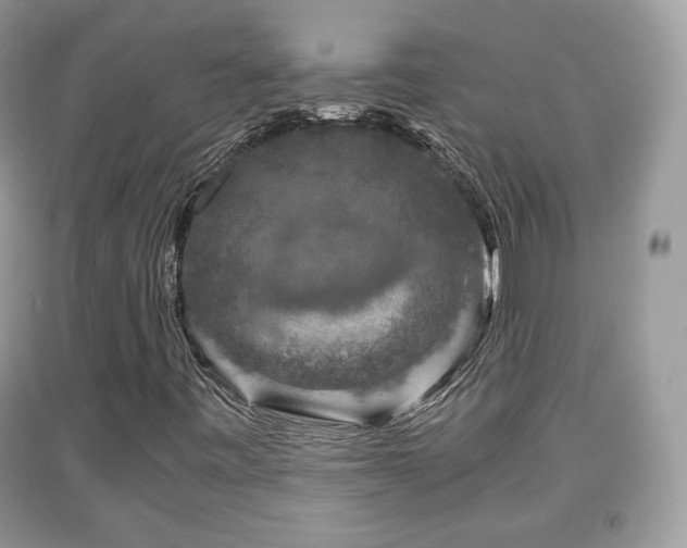 X0000091961443200709131216