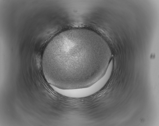 X0000091961444200709131216