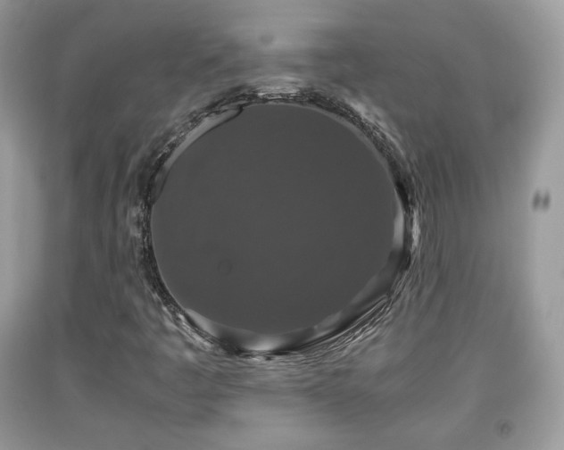 X0000091961445200709131216