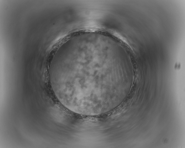 X0000091961446200709131216