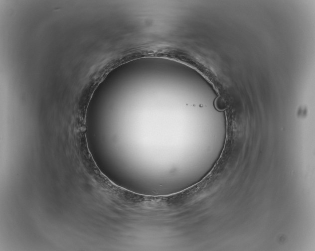 X0000091961447200709131216