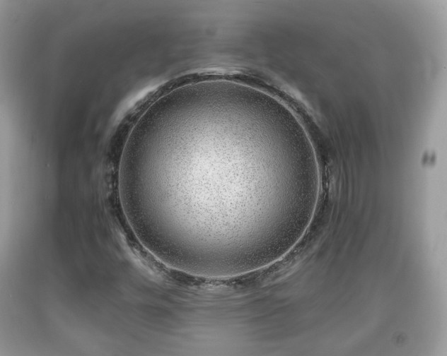 X0000091961448200709131216