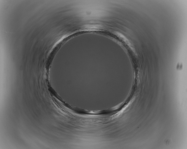 X0000091961449200709131216