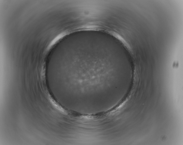 X0000091961450200709131216