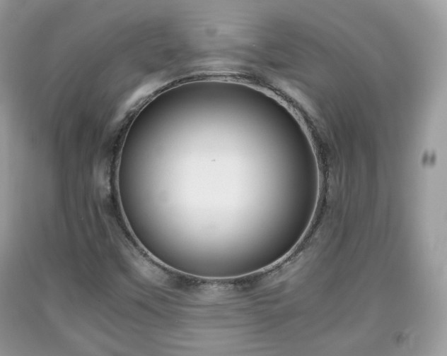 X0000091961451200709131216