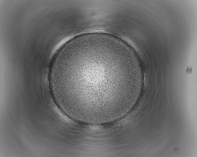 X0000091961452200709131216