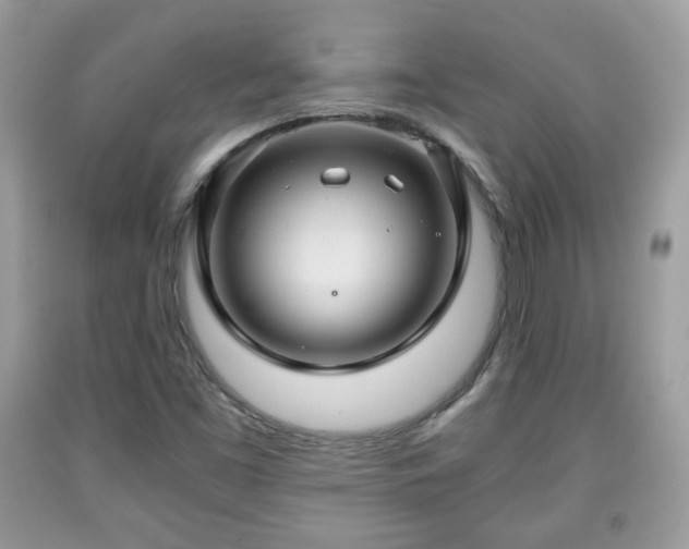 X0000091961453200709131216