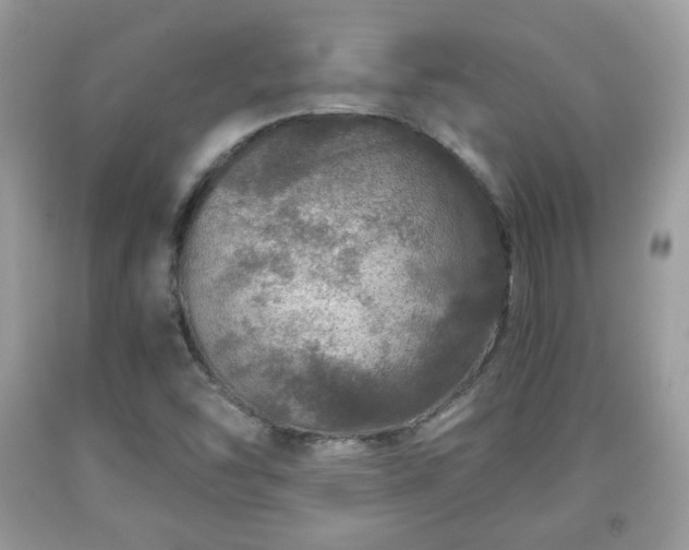 X0000091961454200709131216