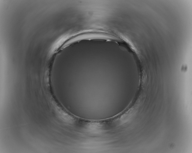 X0000091961455200709131216