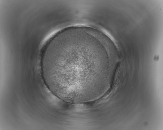 X0000091961456200709131216